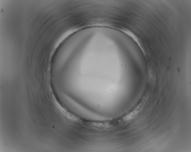 X0000067911147200604271911