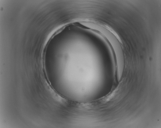 X0000067911148200604271911