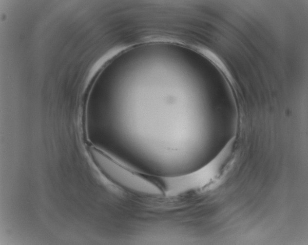 X0000067911149200604271911