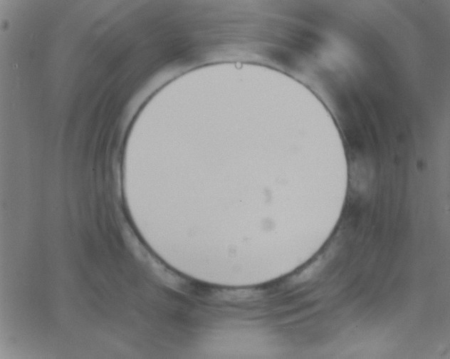 X0000067911150200604271911