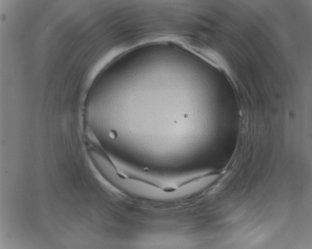 X0000067911151200604271911