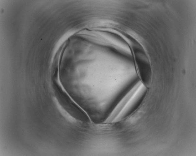 X0000067911152200604271911