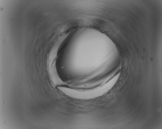 X0000067911153200604271910