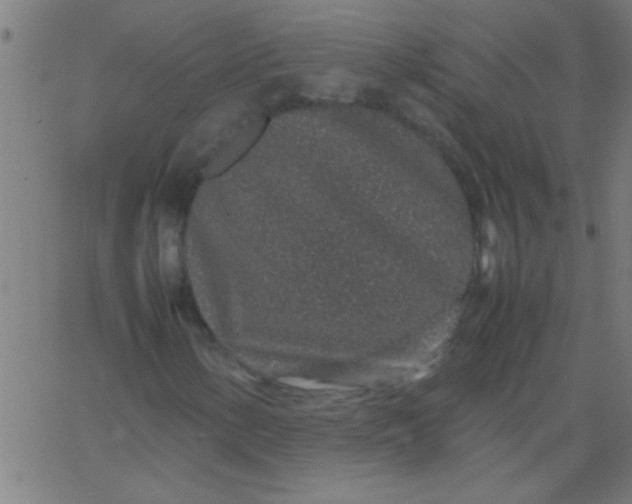 X0000067911154200604271910