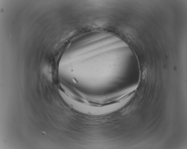 X0000067911156200604271910