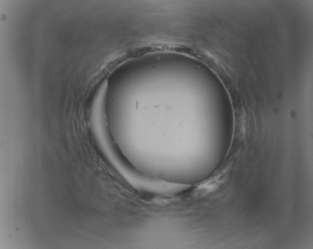 X0000067911157200604271910