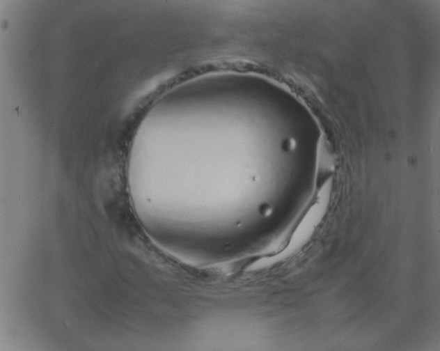 X0000067911159200604271910