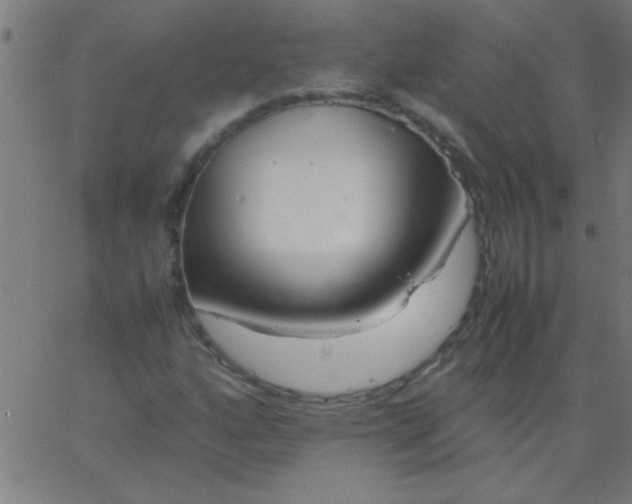 X0000067911160200604271910