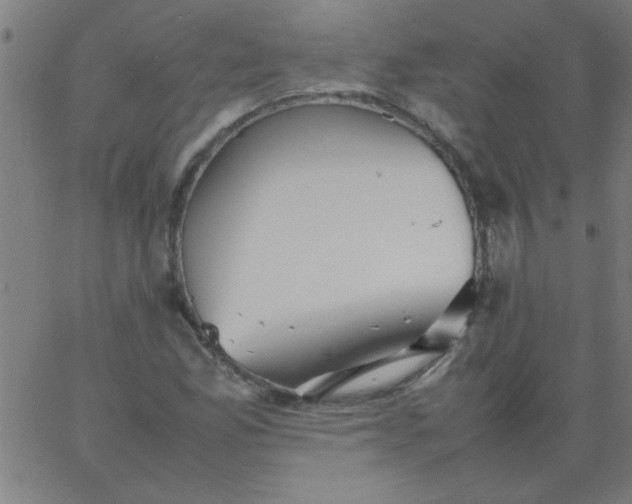 X0000067911165200604271910