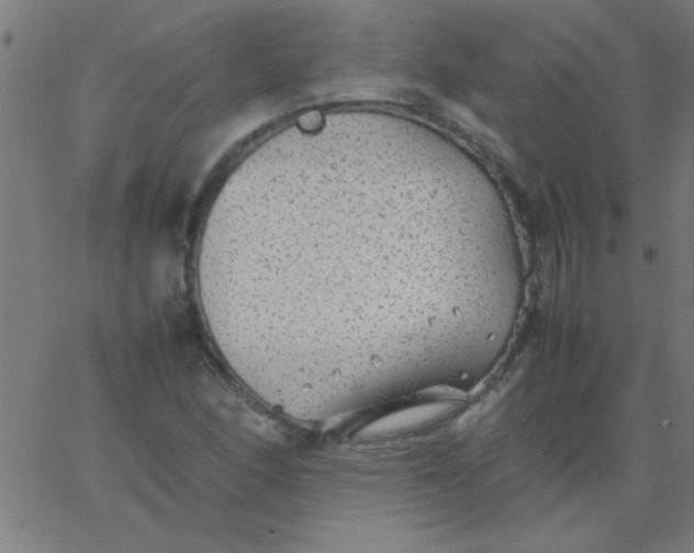 X0000067911166200604271910