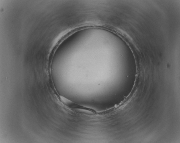 X0000067911168200604271910