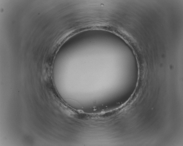 X0000067911169200604271910