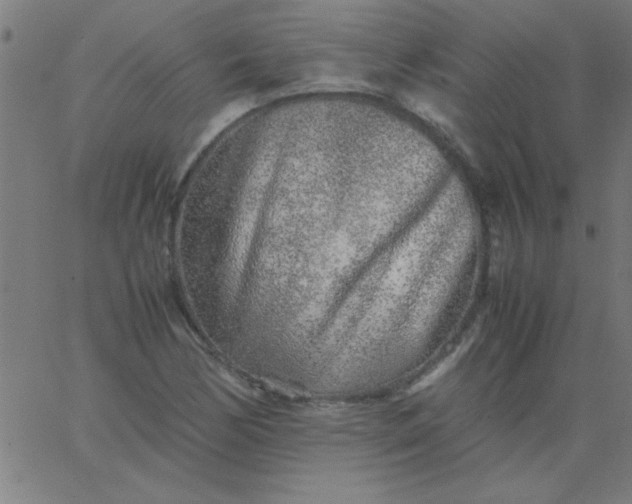 X0000067911170200604271910