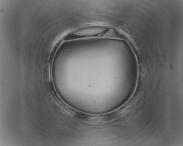 X0000067911171200604271910