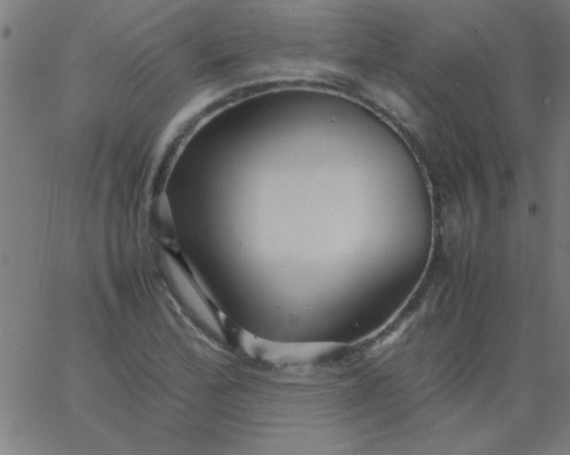 X0000067911172200604271910