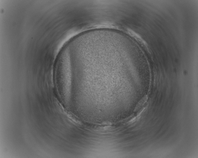 X0000067911174200604271910