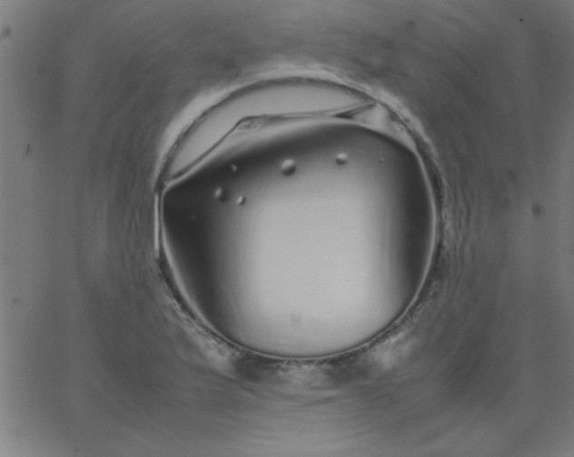 X0000067911175200604271910