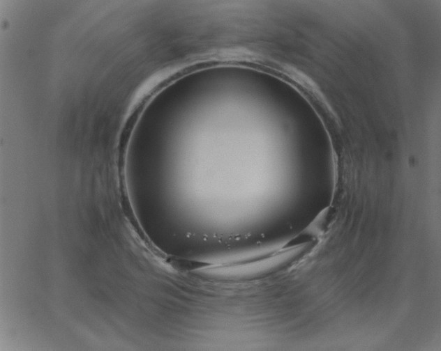 X0000067911176200604271910