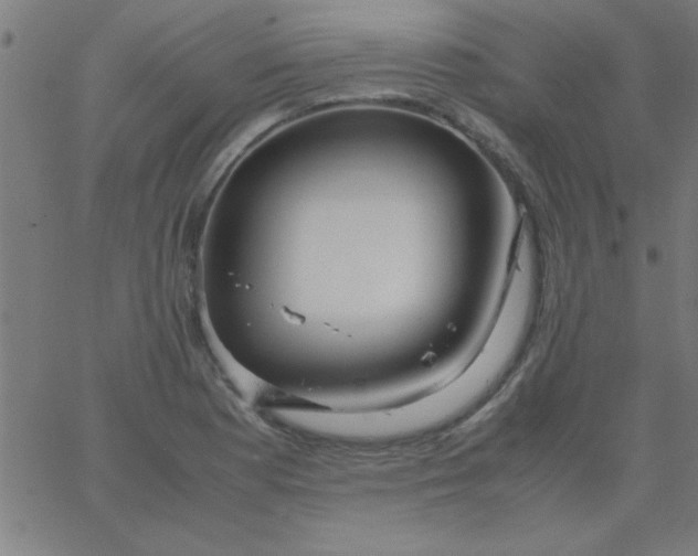 X0000067911177200604271910