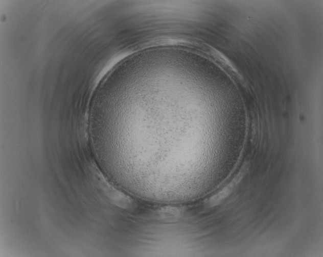 X0000067911178200604271910