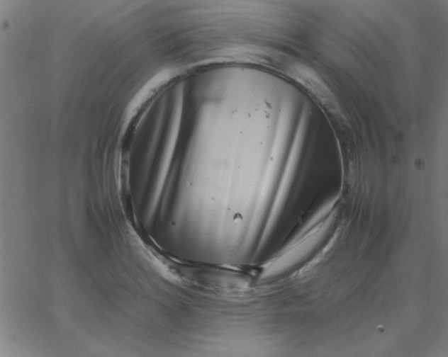 X0000067911180200604271910