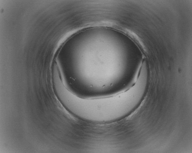 X0000067911184200604271910