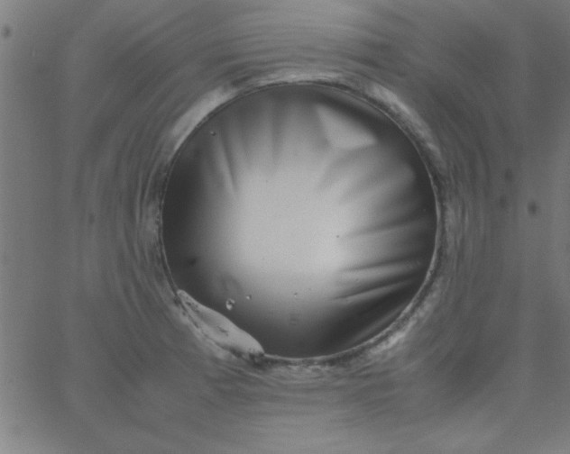 X0000067911185200604271910