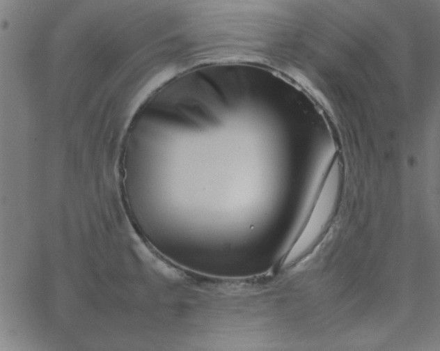 X0000067911189200604271910