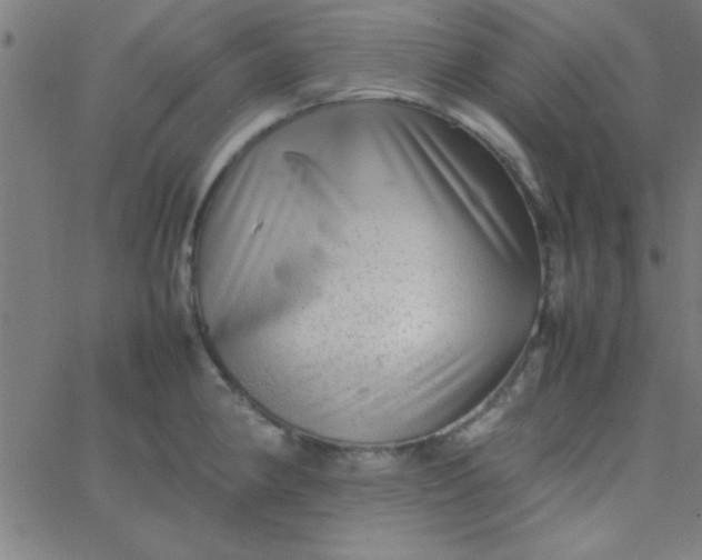 X0000067911190200604271910