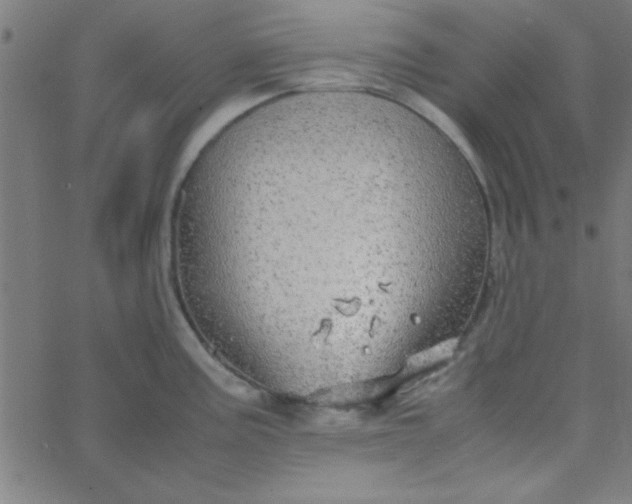 X0000067911195200604271910