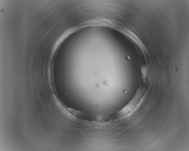 X0000067911196200604271910