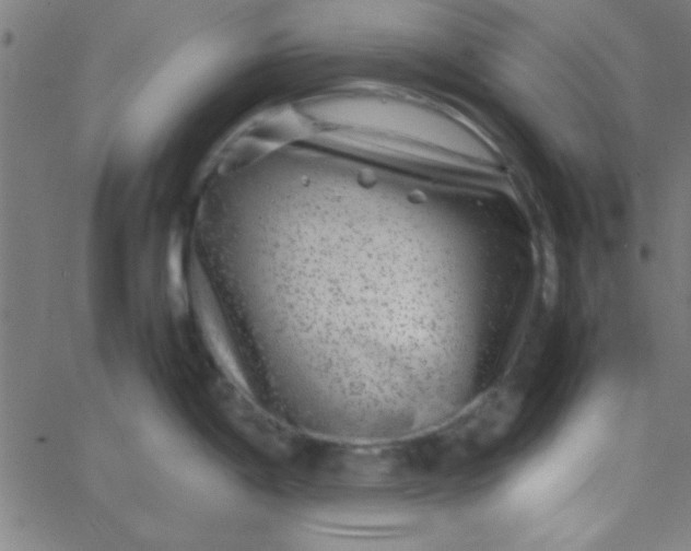 X0000067911198200604271910