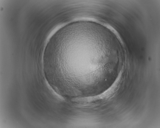 X0000067911199200604271910