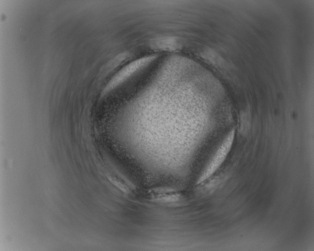 X0000067911201200604271909