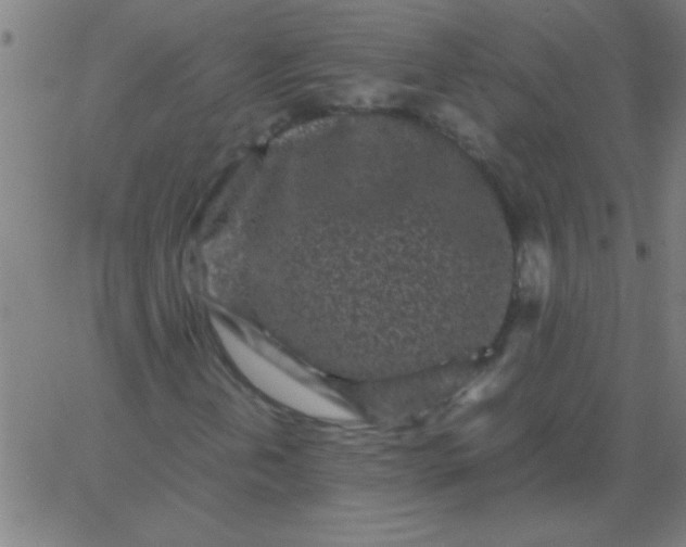 X0000067911202200604271909