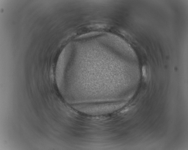 X0000067911203200604271909