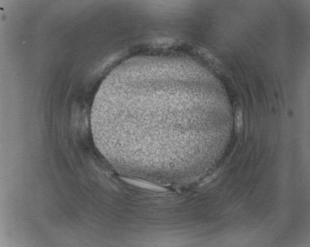 X0000067911204200604271909