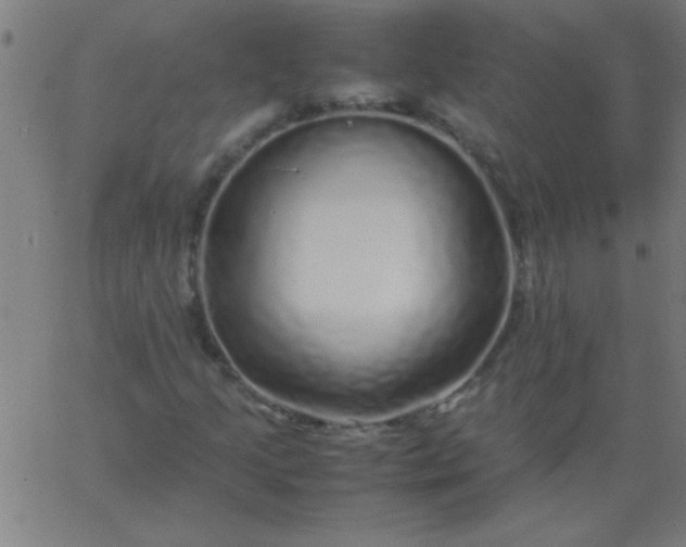 X0000067911205200604271909