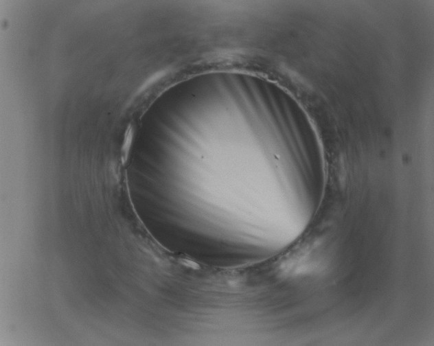 X0000067911206200604271909