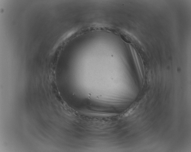 X0000067911207200604271909