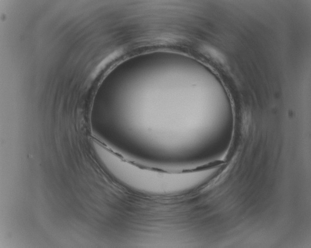 X0000067911210200604271909