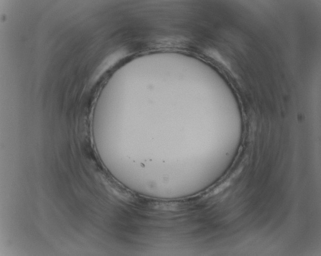 X0000067911211200604271909