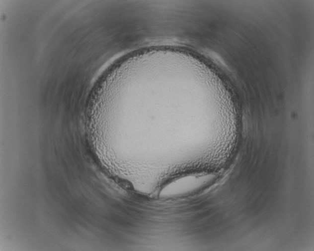 X0000067911212200604271909