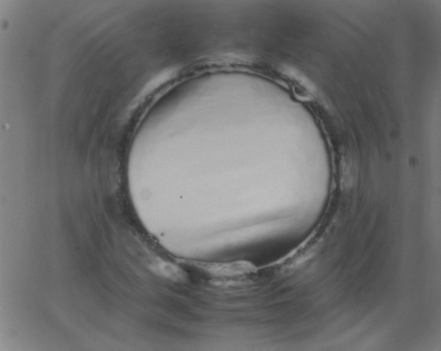 X0000067911213200604271909