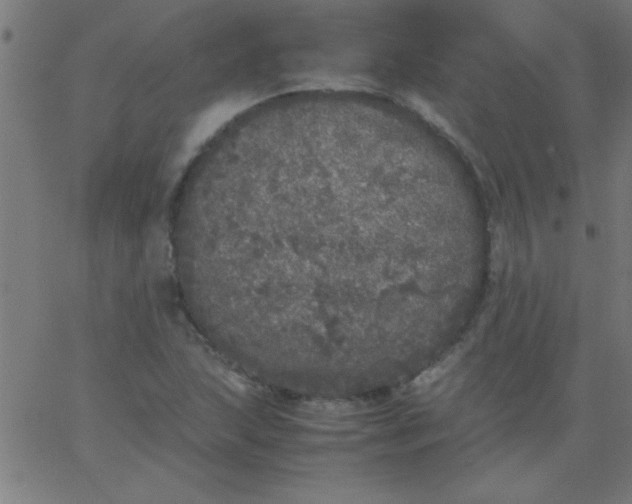 X0000067911215200604271909