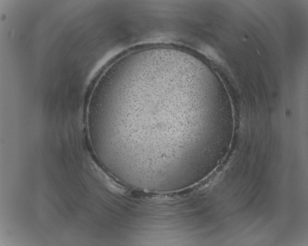 X0000067911216200604271909