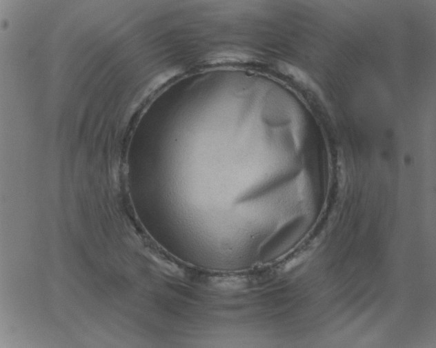 X0000067911217200604271909