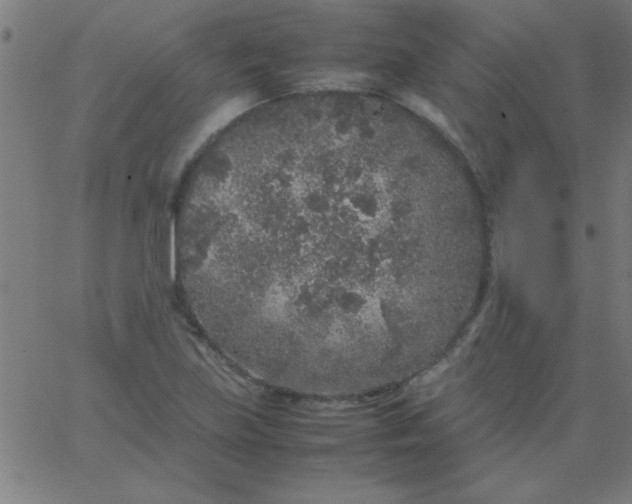 X0000067911219200604271909