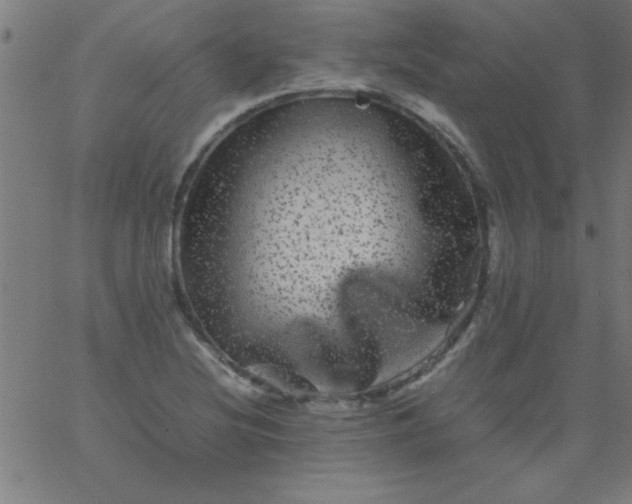 X0000067911220200604271909