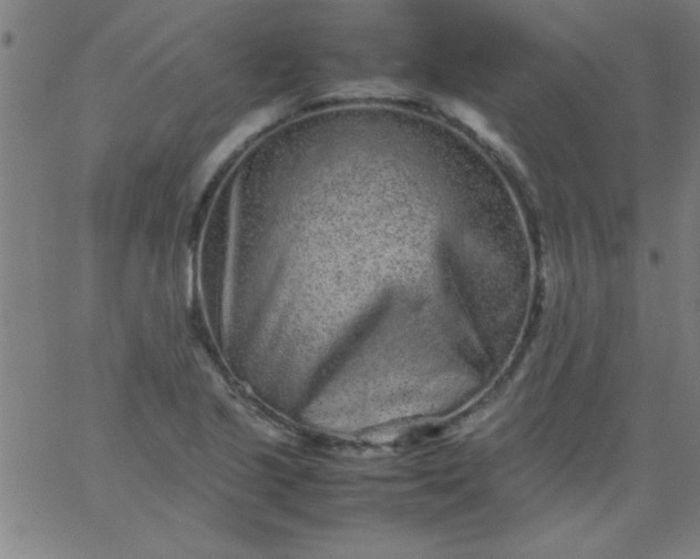 X0000067911221200604271909